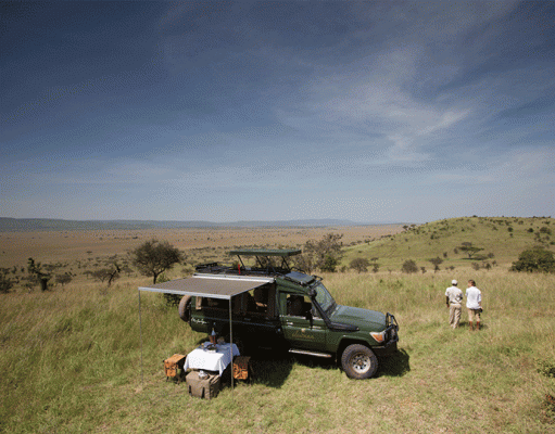Pioneer Serengeti gallery