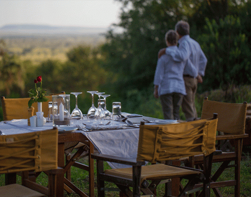 Pioneer Serengeti gallery