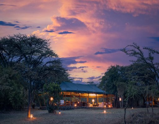 Richard’s River Camp gallery