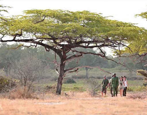 Roho Ya Selous gallery
