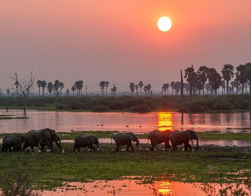 Roho Ya Selous gallery