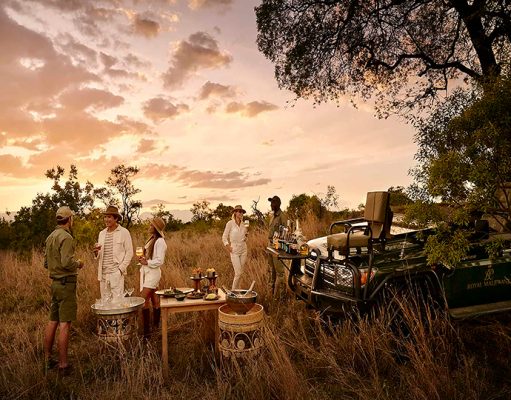 Royal Malewane gallery