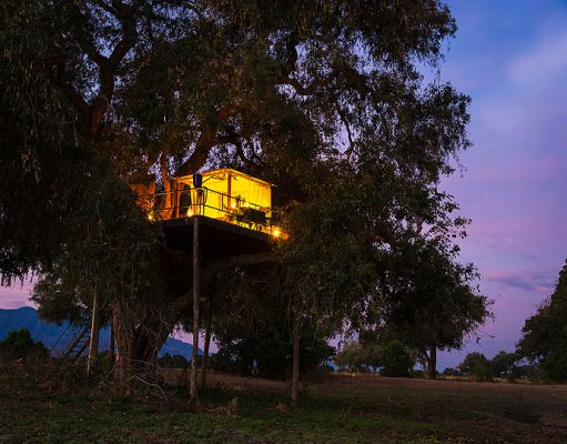 Victoria Falls & Wildlife gallery