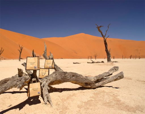 Sossusvlei & The Namib gallery