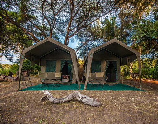Mobile Safaris gallery