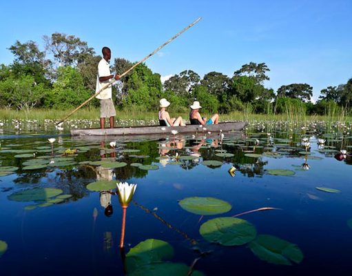 Mobile Safaris gallery