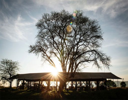 Serengeti Safari Camp gallery