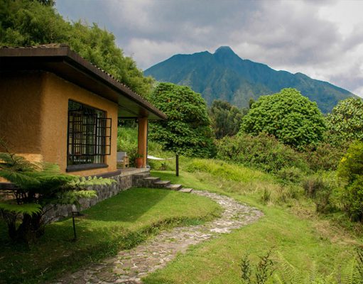 Sabyinyo Silverback Lodge gallery
