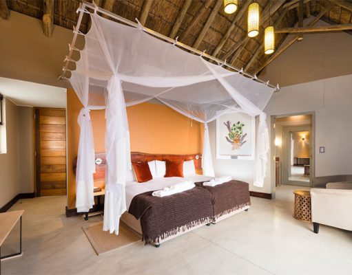 Safarihoek gallery