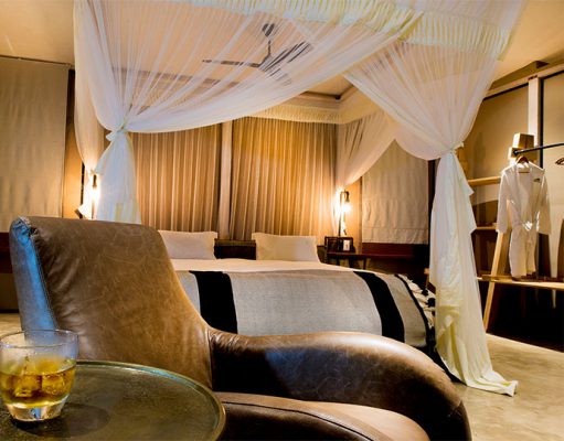 Sausage Tree Camp gallery