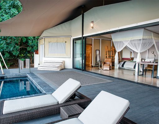 Sausage Tree Camp gallery