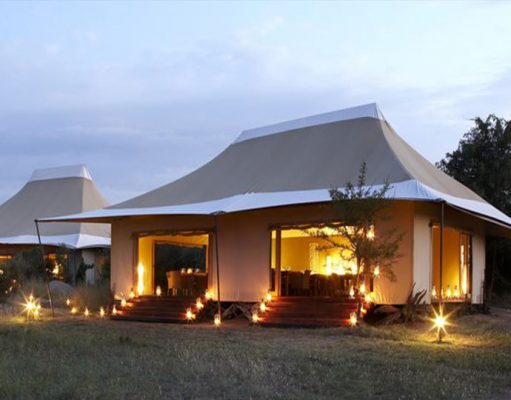 Sayari gallery