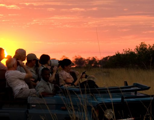 Ultimate Botswana Safari gallery
