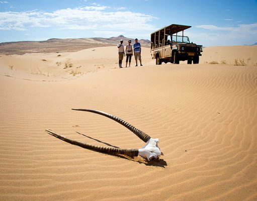 Skeleton Coast Safaris gallery