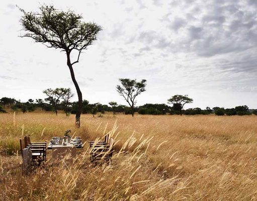 Top 10 Serengeti Safari Camps gallery