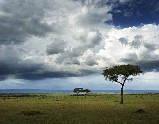 Top 10 Serengeti Safari Camps gallery