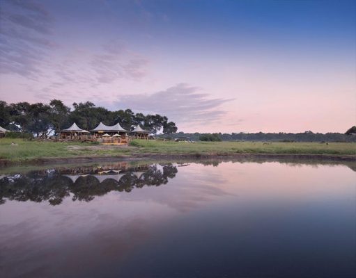 Somalisa Acacia gallery