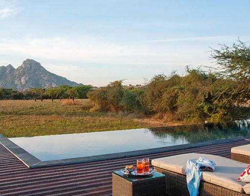 Indian Safaris Luxury Safari Holidays in India