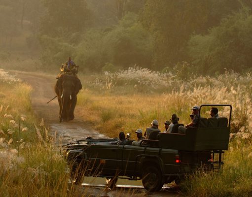 Taj Mahua Kothi India Tiger Safari Luxury Holiday