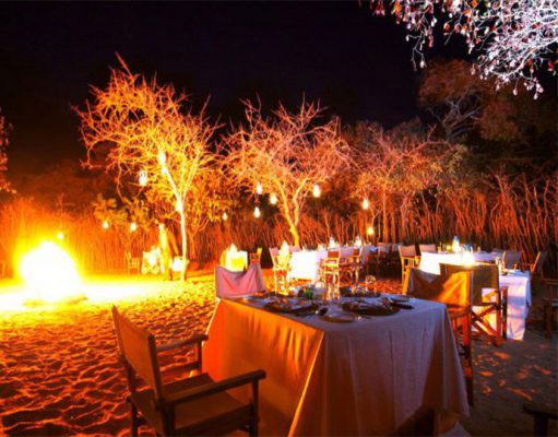 Tarangire Treetops gallery