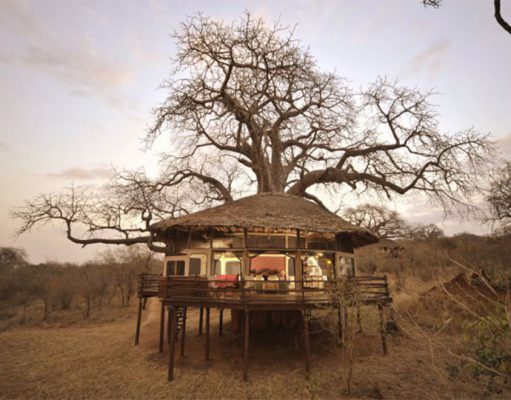 Tarangire Treetops gallery