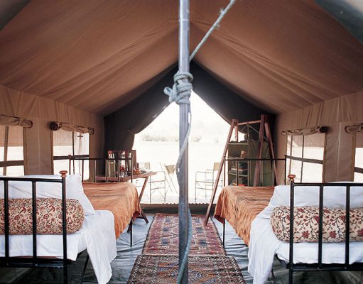 Mobile Safaris gallery