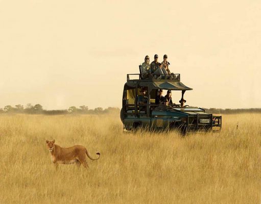 Luxury African Safari Vacations gallery