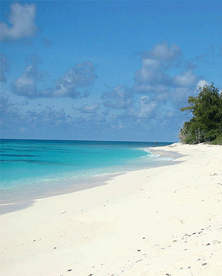Alphonse Island