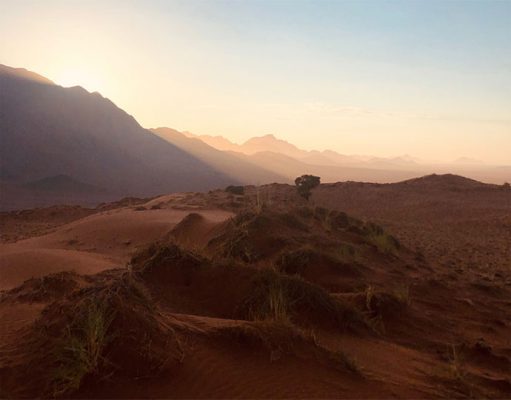 Wolwedans Dunes Lodge gallery