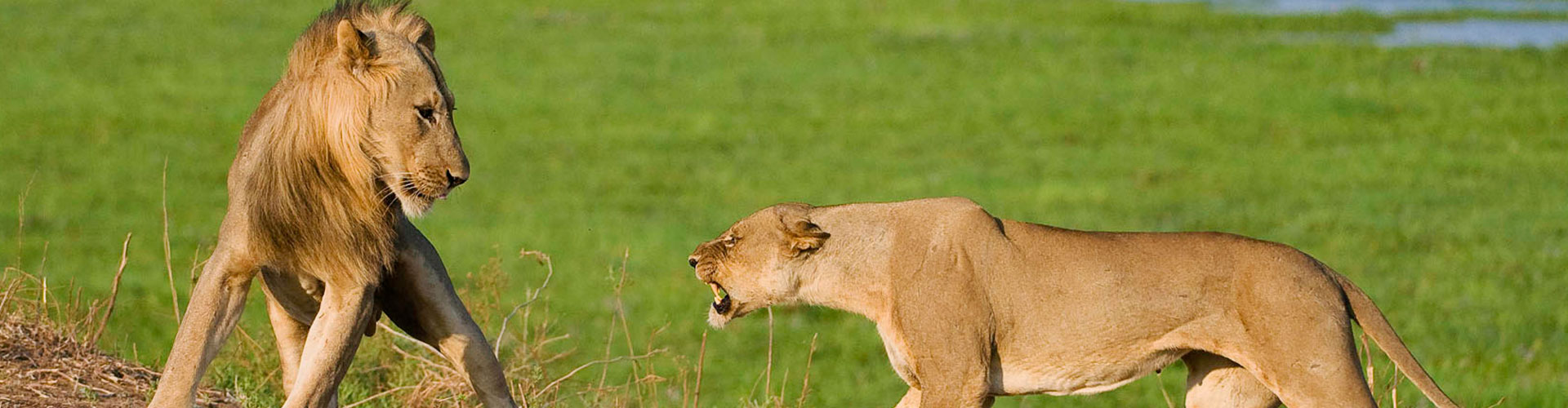 African Bush Camp Foundation 2024 Report