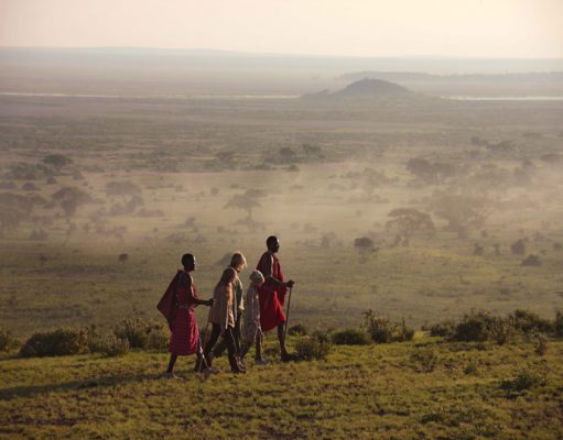 Amboseli & The Chyulus gallery