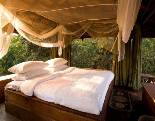 Baghvan Camp India Tiger Safari Holidays