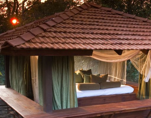 Baghvan Camp India Tiger Safari Holidays