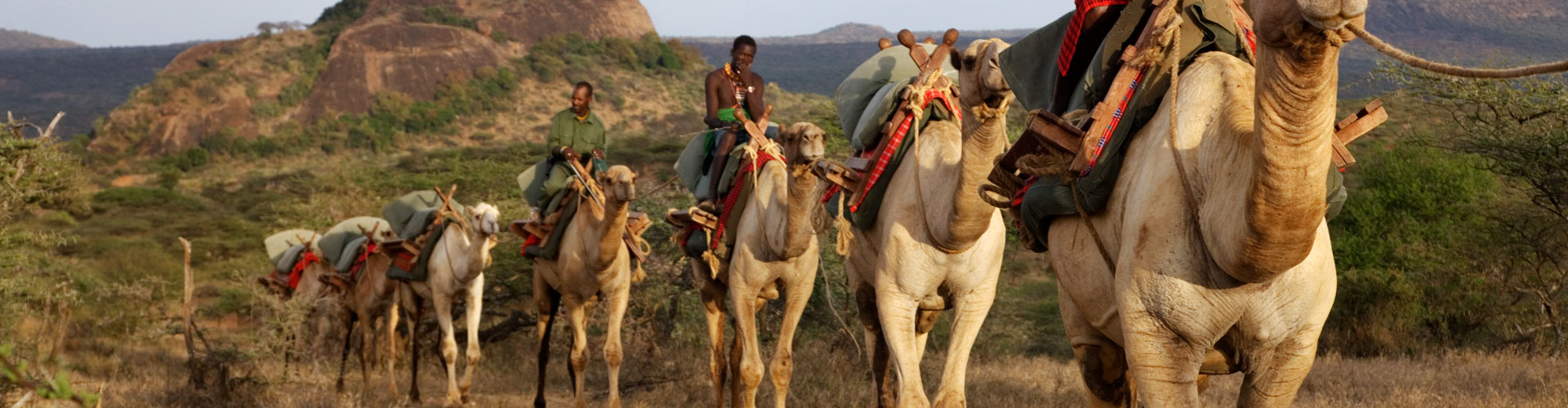 Camel Safaris Luxury Safari on Camels in Africa