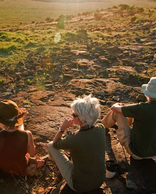 Best Safari Destinations
