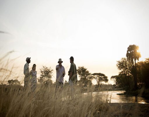 Chada Katavi gallery