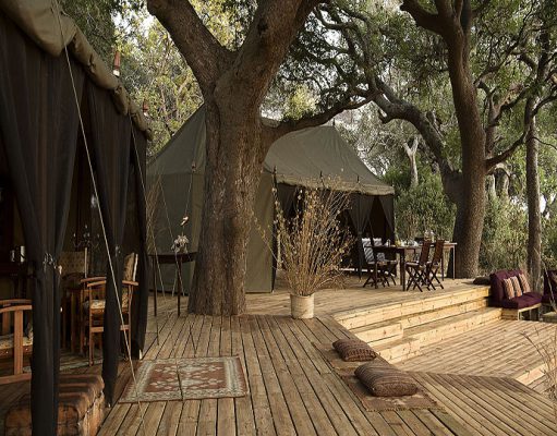 Chada Katavi gallery