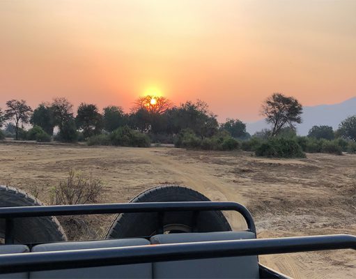 Love for The Lower Zambezi – Zambia gallery