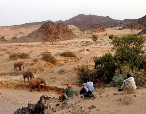 Damaraland Camp gallery