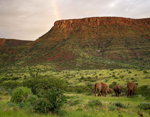 Damaraland Camp gallery