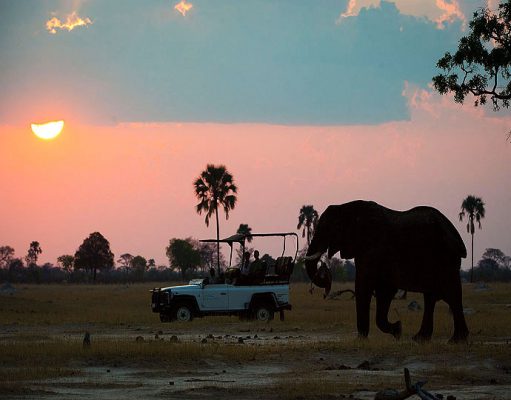 Hwange gallery