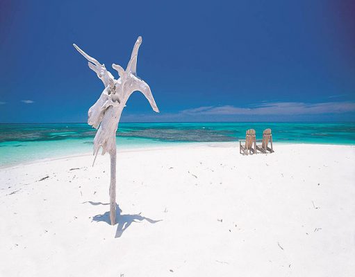Denis Island gallery
