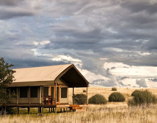 Desert Rhino Camp gallery