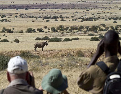 Desert Rhino Camp gallery