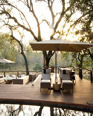 Dulini Has Exciting News for the Sabi Sands
