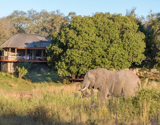 Dulini River Lodge
