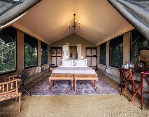 Elephant Pepper Camp gallery