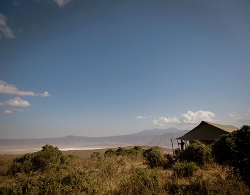 Entamanu Ngorongoro – Recent Visit gallery