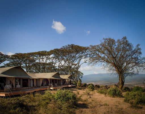 Nomad Entamanu gallery