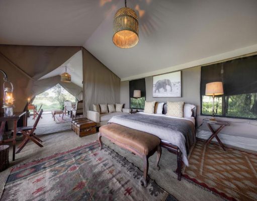 Elephant Pepper Camp gallery